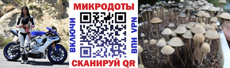 Псилоцибиновые грибы ЛСД  где продают   Сольцы 